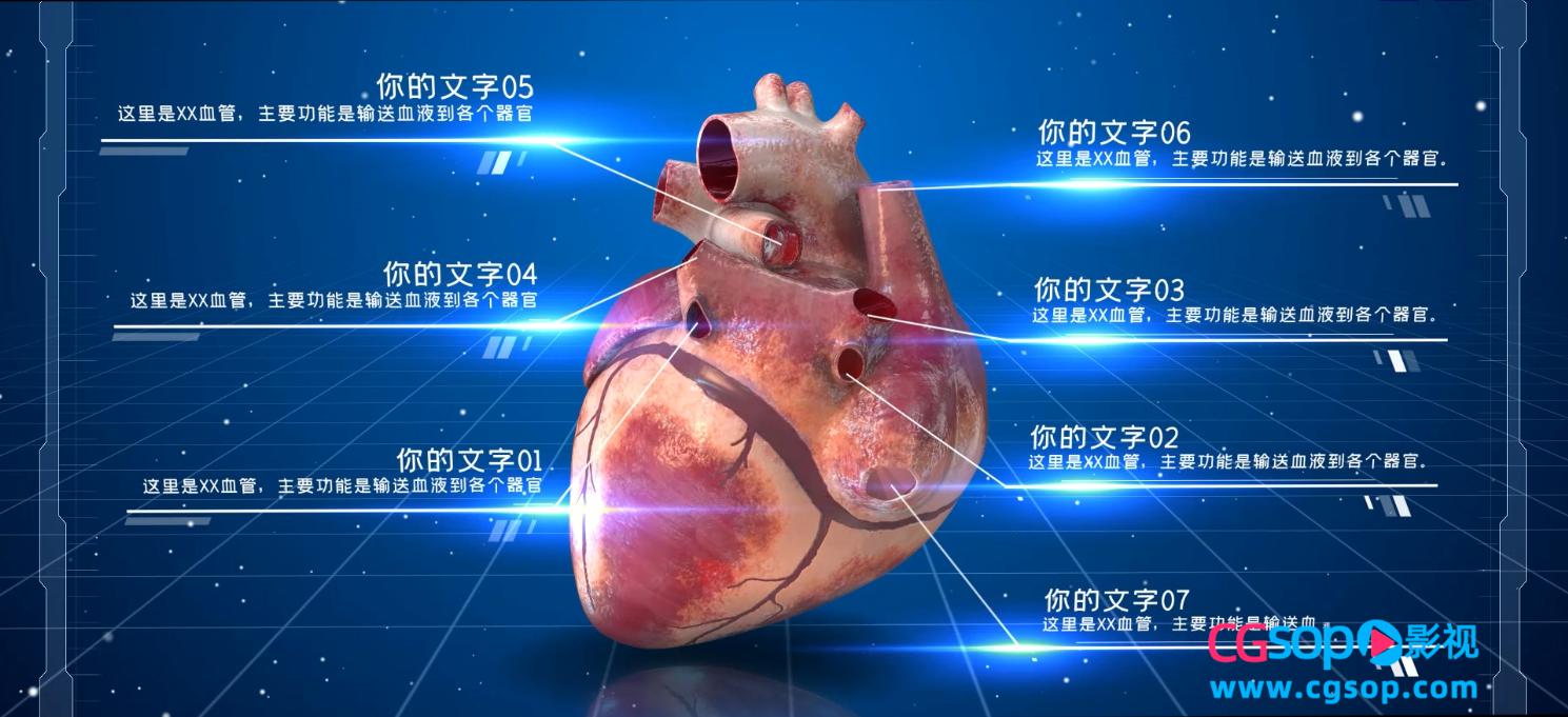 科技医疗心脏结构器官三维动画说明展示包装