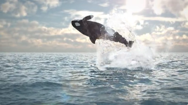 鲸鱼跃出海面后在浪花中揭示出的标志开场动画