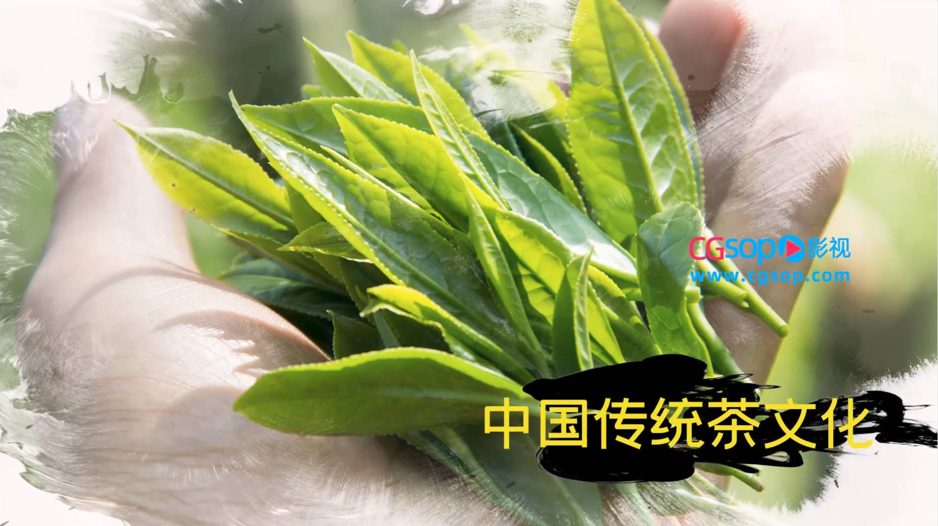 中国传统茶文化图文展示AE模板