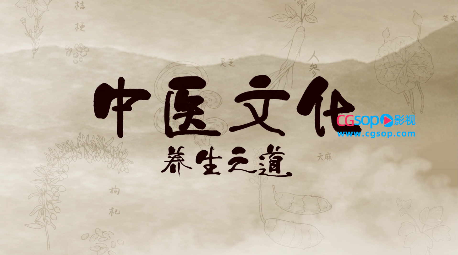 中国风传统中医养生文化宣传AE模板