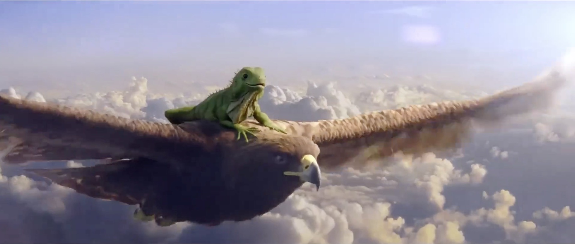 墨西哥航空暖心短片《雄鹰带着鬣蜥去飞行 》